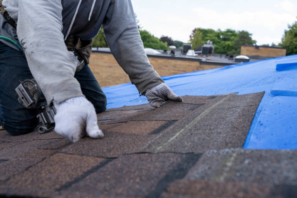 Best Best Roofing Contractors  in Ethete, WY