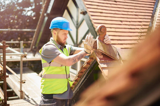 Best Shingle Roofing Installation  in Ethete, WY