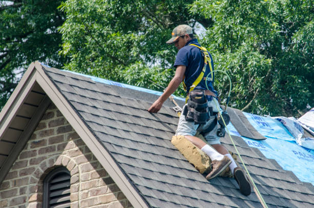 Best Storm Damage Roof Repair  in Ethete, WY